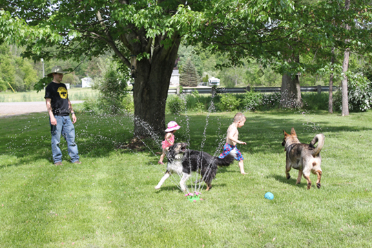 arwen and vendetta in sprinkler